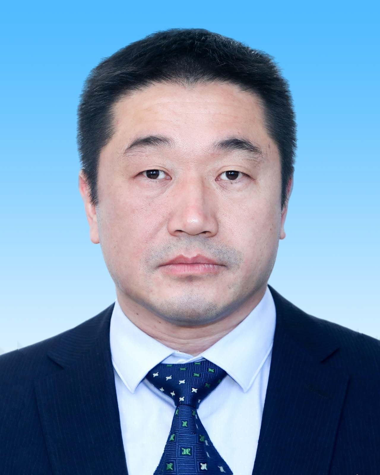 王涛 北京市大兴区魏善庄镇党委副书记,镇长