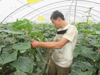 20120712153631156537.png