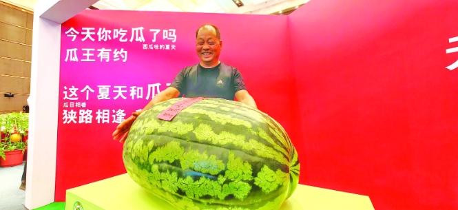微信截图_20240529091414