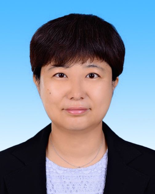 工委副书记 马兵