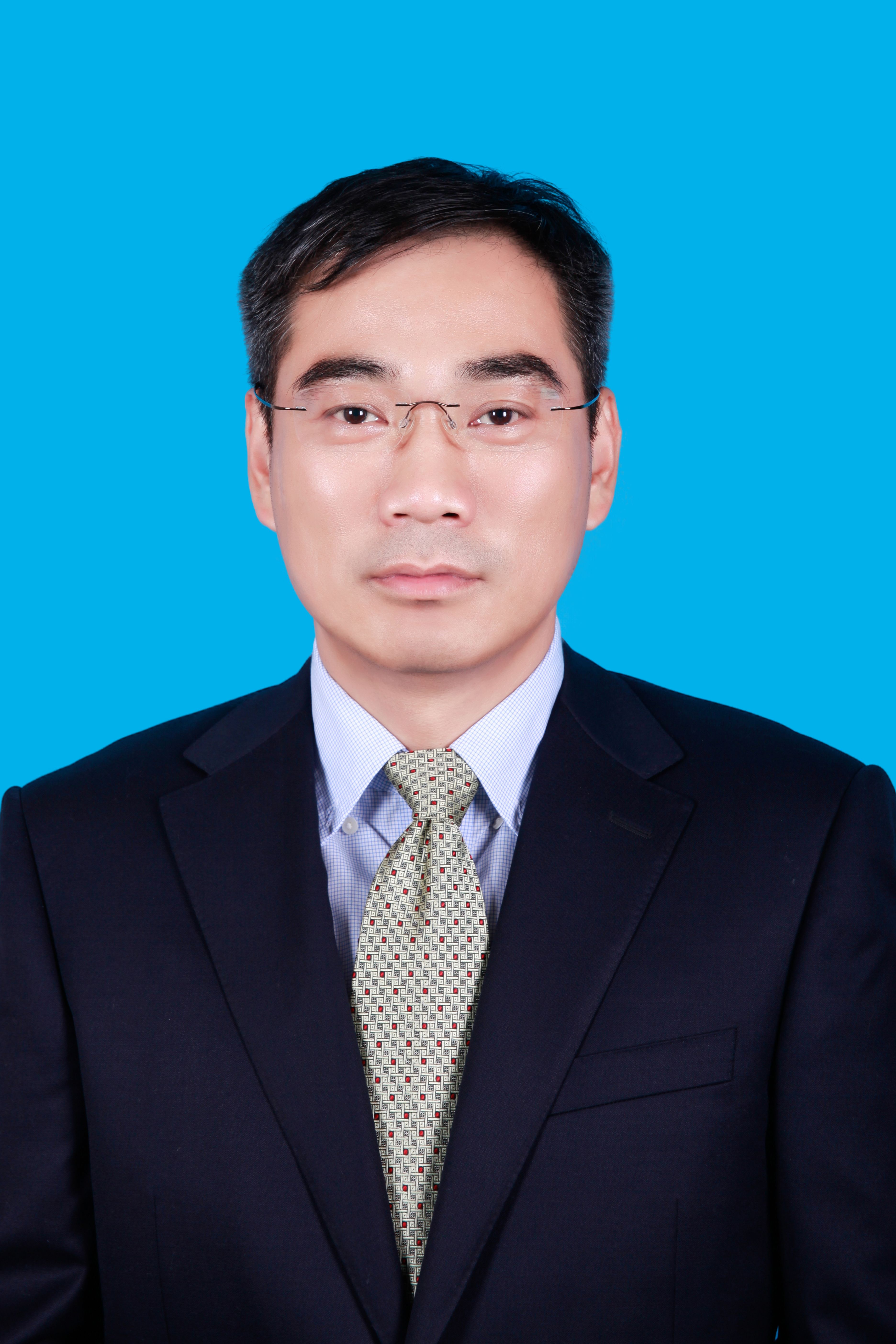 党委委员,副镇长,地区党工委委员,办事处副主任 谭永刚