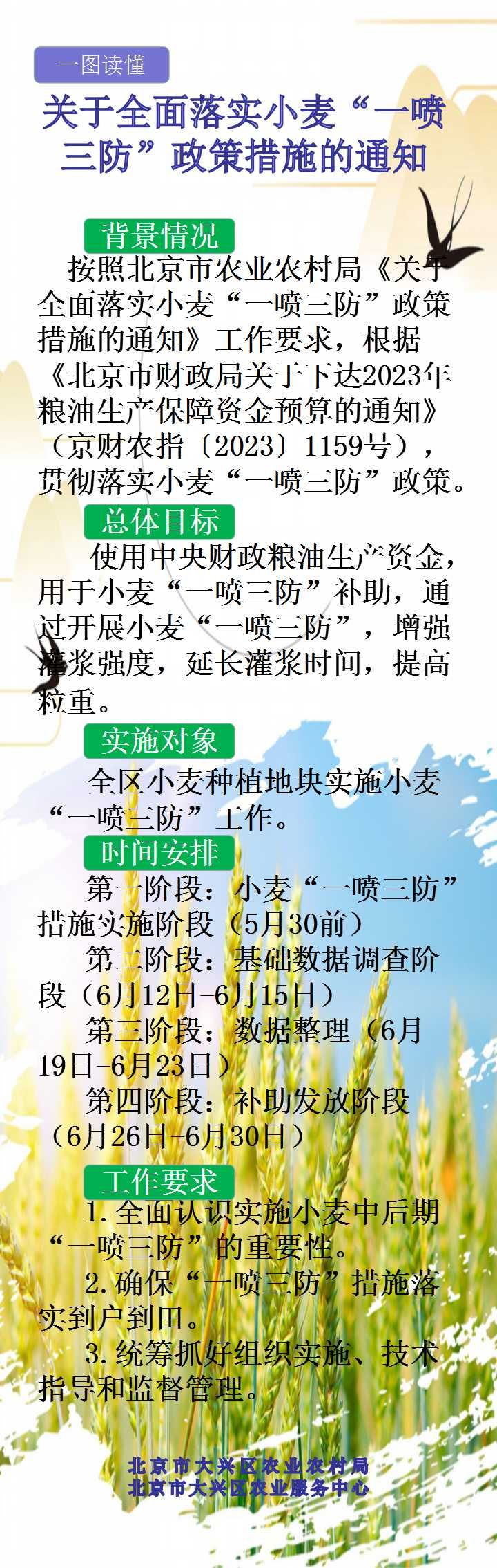 政策解读