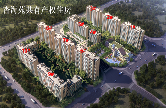图片14
