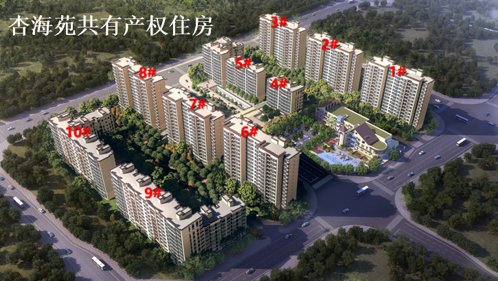 图片14