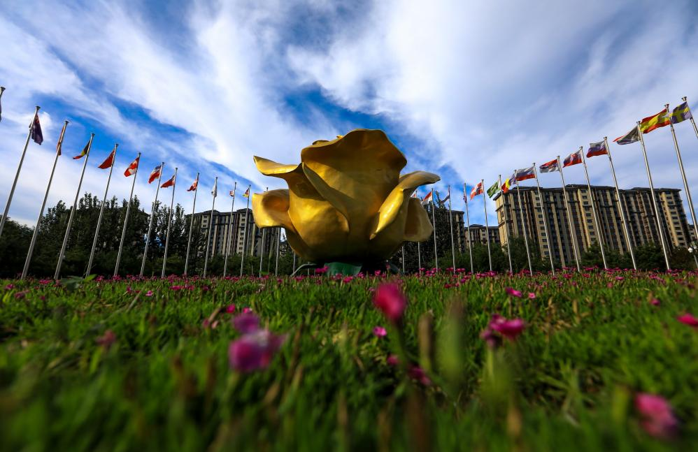 图片1