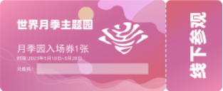 图11