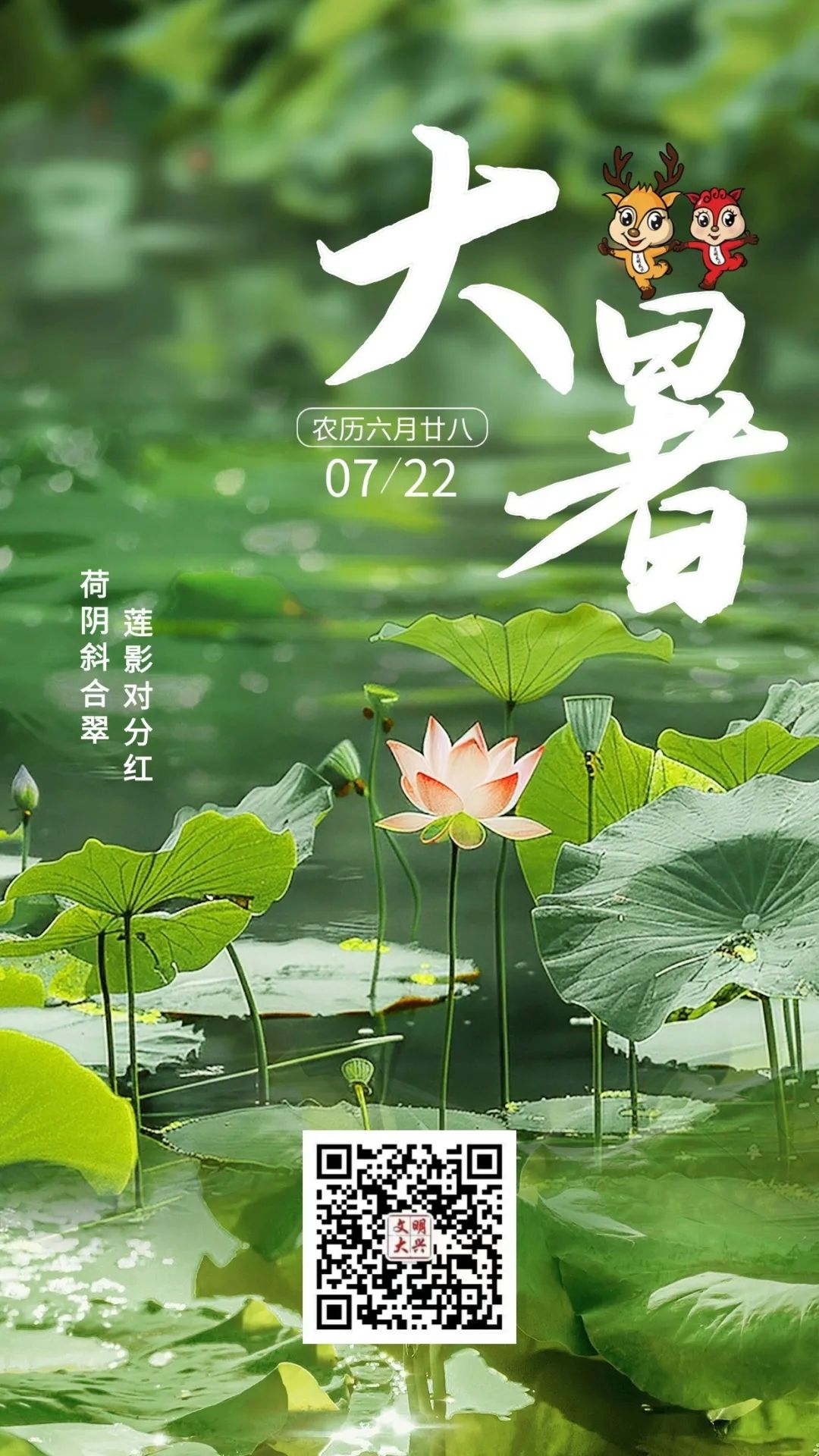 14.大暑