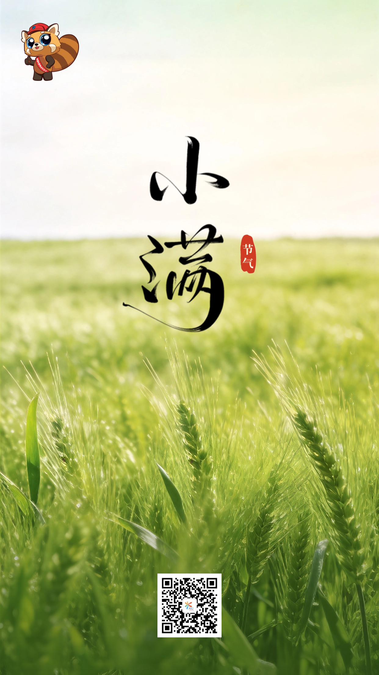 260508-小满 (1)