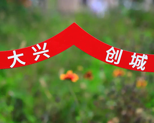 图片16