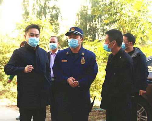 图片31
