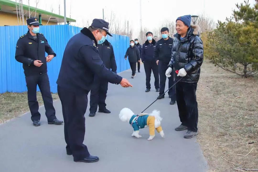 图片7