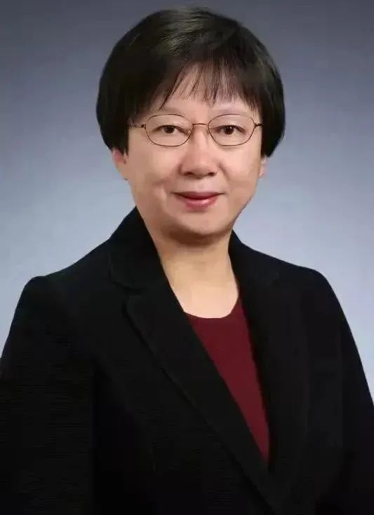 图片8