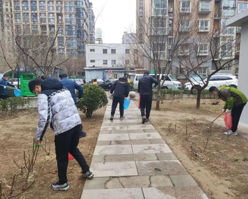 图片4