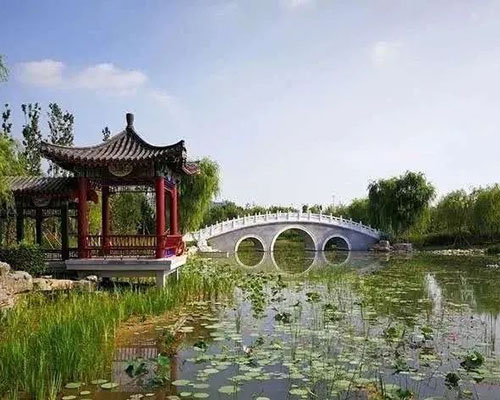 图片7