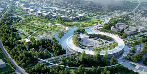 图片6