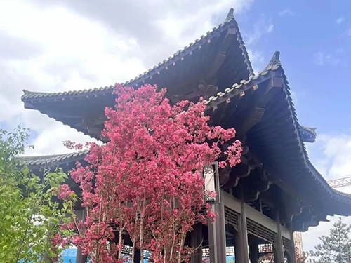 图片4