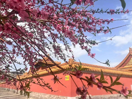图片5