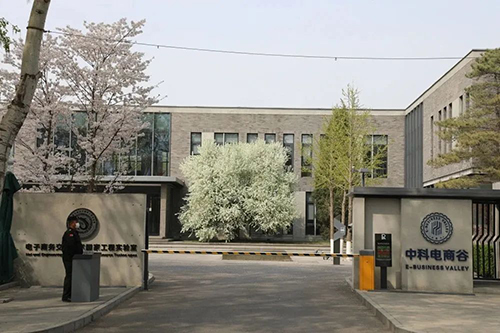 图片10