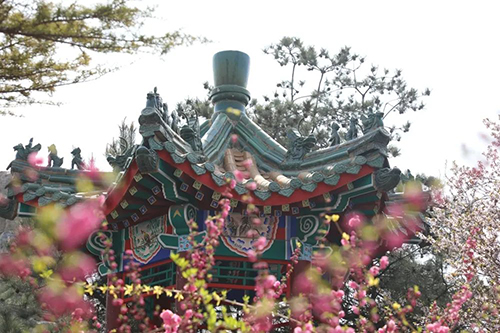 图片11