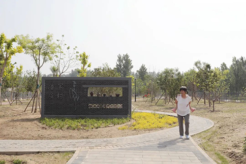 图片17