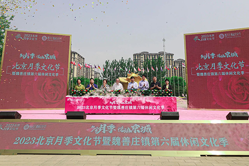 图片22