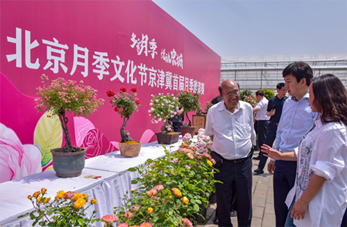 图片23