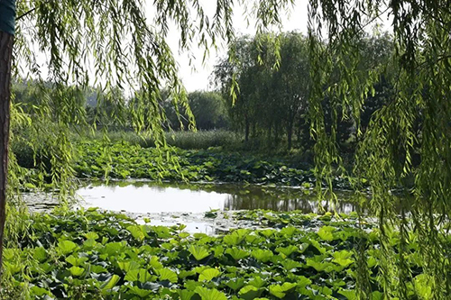 图片9