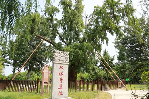 图片3