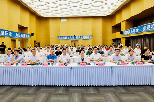 图片6