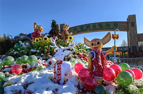 图片1