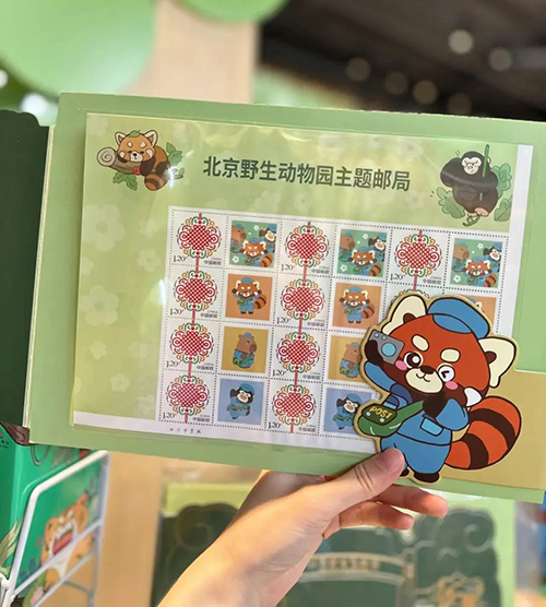 图片3