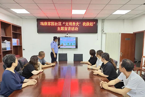 图片6