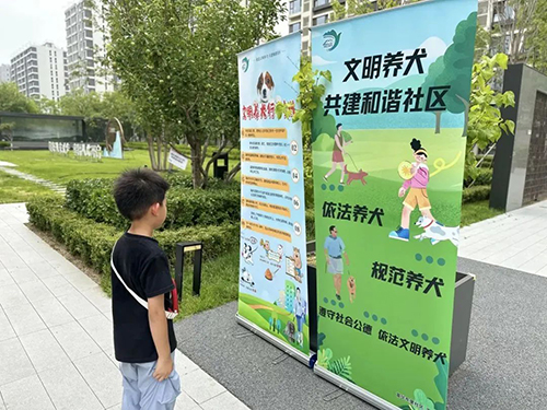 图片8