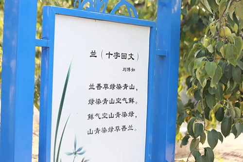 图片21