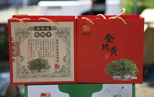 图片23