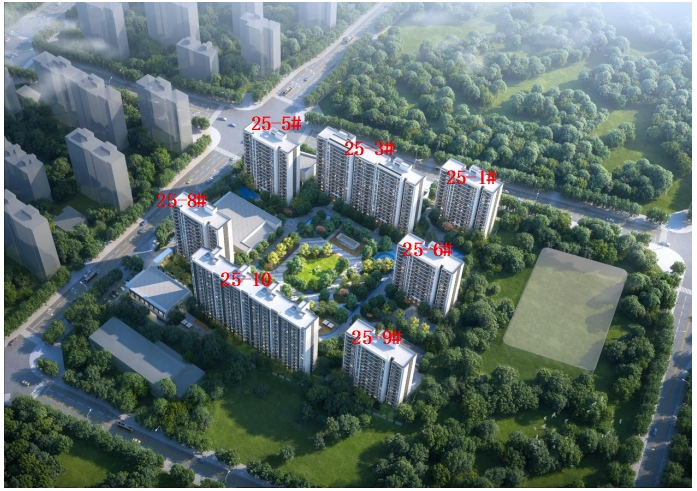 图片14